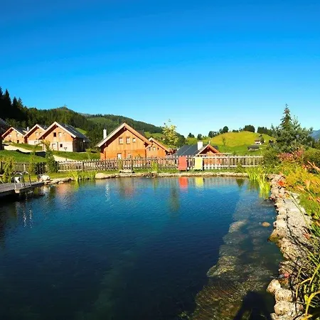 Dachsteinblick Chalet *