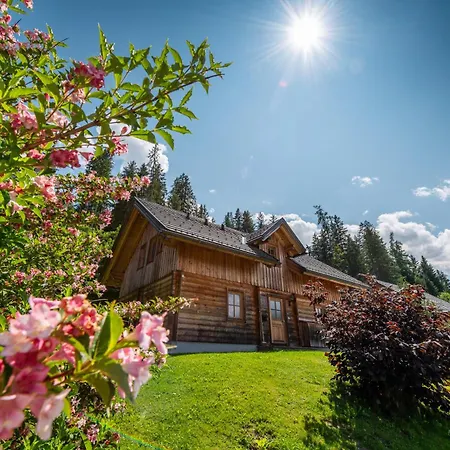 Chalet Dachsteinblick Pruggern