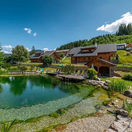 شاليه Dachsteinblick