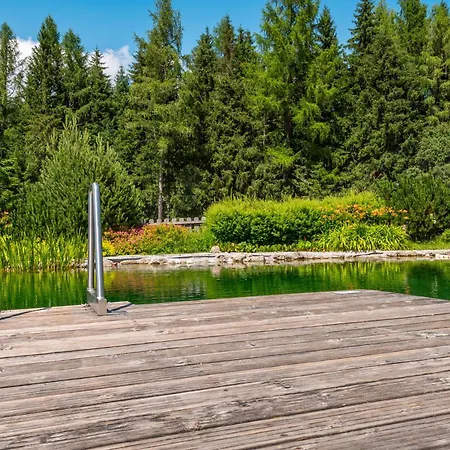 Dachsteinblick شاليه *