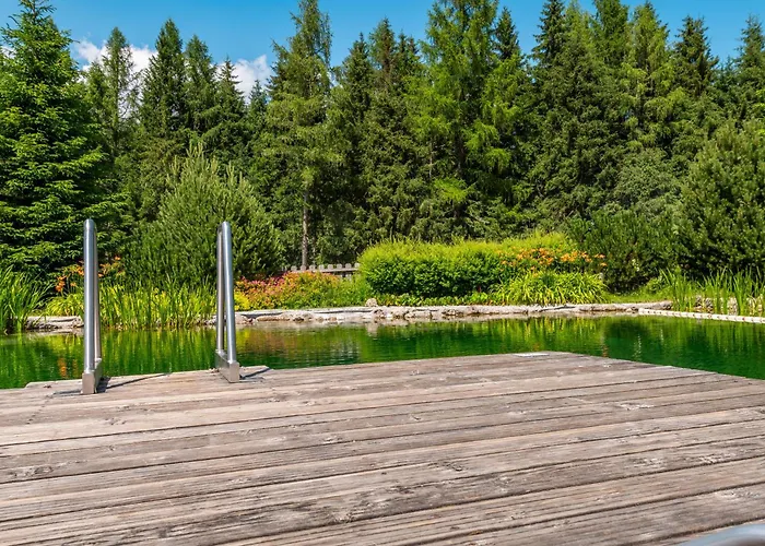 Dachsteinblick Chalet *